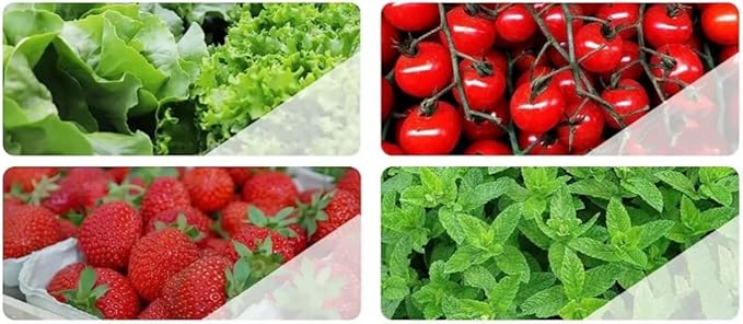 30 Plants Hydroponic Growing System Kit Tower Outdoor Indoor Vertical Hydroponic Garden Towers Soilless Growing Suitable for Cultivating Herbs Vegetables Fruit Growing