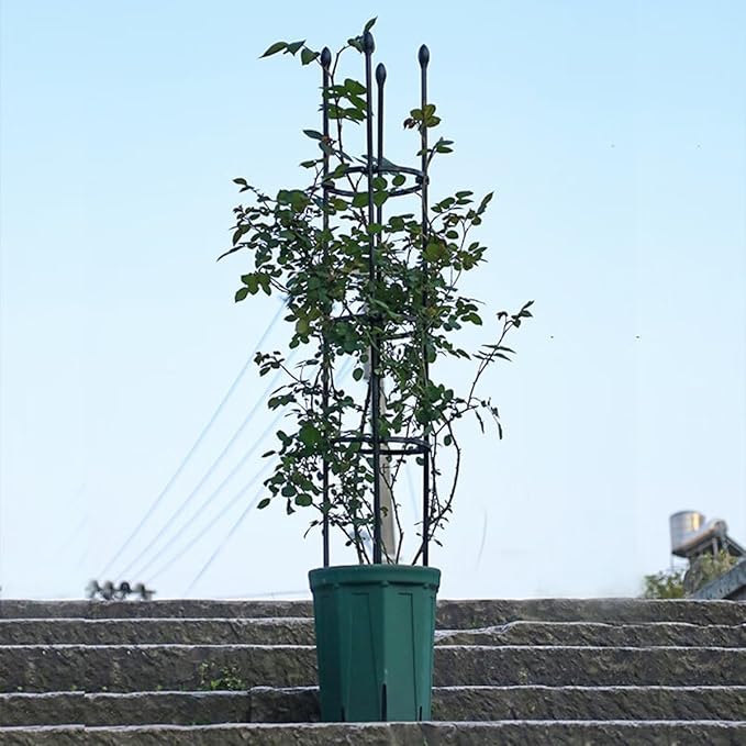1 Pc Garden Trellis Plant Trellis for Climbing Plants Indoor Outdoor Plant Stake for Flower Vegetable TomatoVines Tomato Cage for Potted Plants(Size:7.8(20cm)*47.2(120cm) inch)