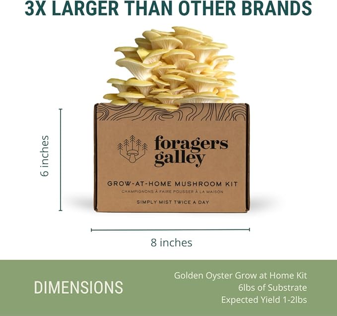 Golden Oyster Mushroom Grow-at-Home Kit - 6lbs - Grow a Commercial Sized Mushroom Crop Easily at Home