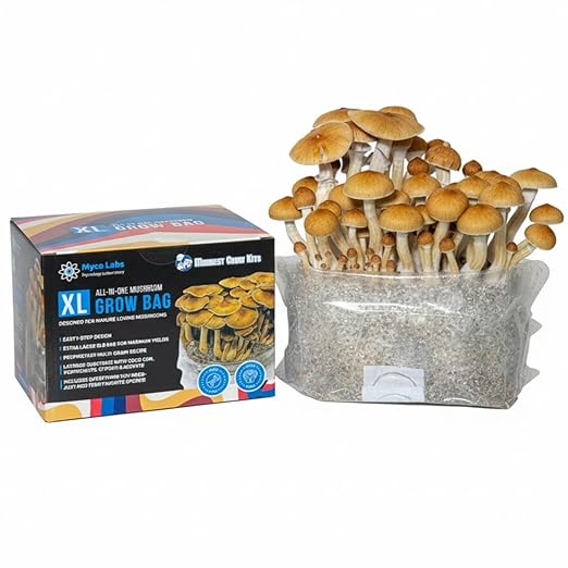 All-in-One Mushroom Grow Bag for Manure Loving Mushrooms + Spore Germination Jar! (6LB)