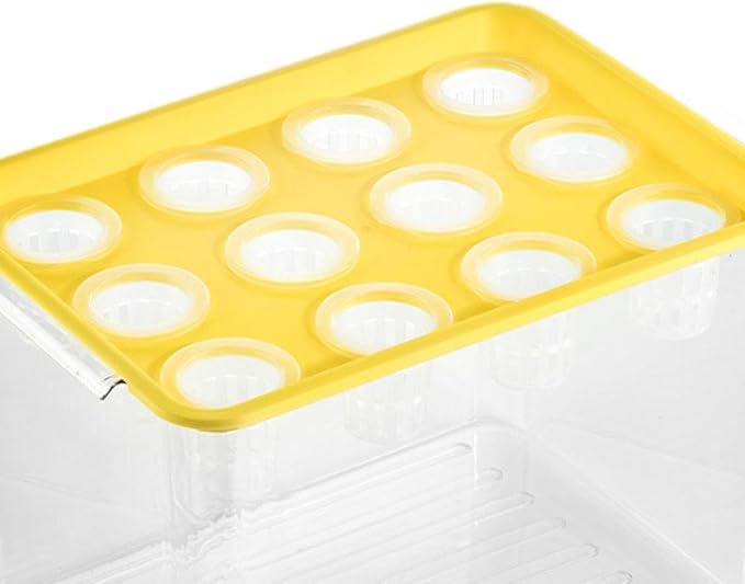 Hydroponic System Growing Kit Microgreens Growing Kit Garden Cabinet Box Easy to Use Indoor Hydroponics Tool for Vegetables Yellow Lid