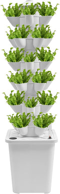 6 Tier Hydroponic Grow Tower 30 Holes Garden Hydroponic Growing Kit with Water Level Gauge Water Tank Funnel and Hose for Home Commercial Botanical Garden Hydroponics Plants