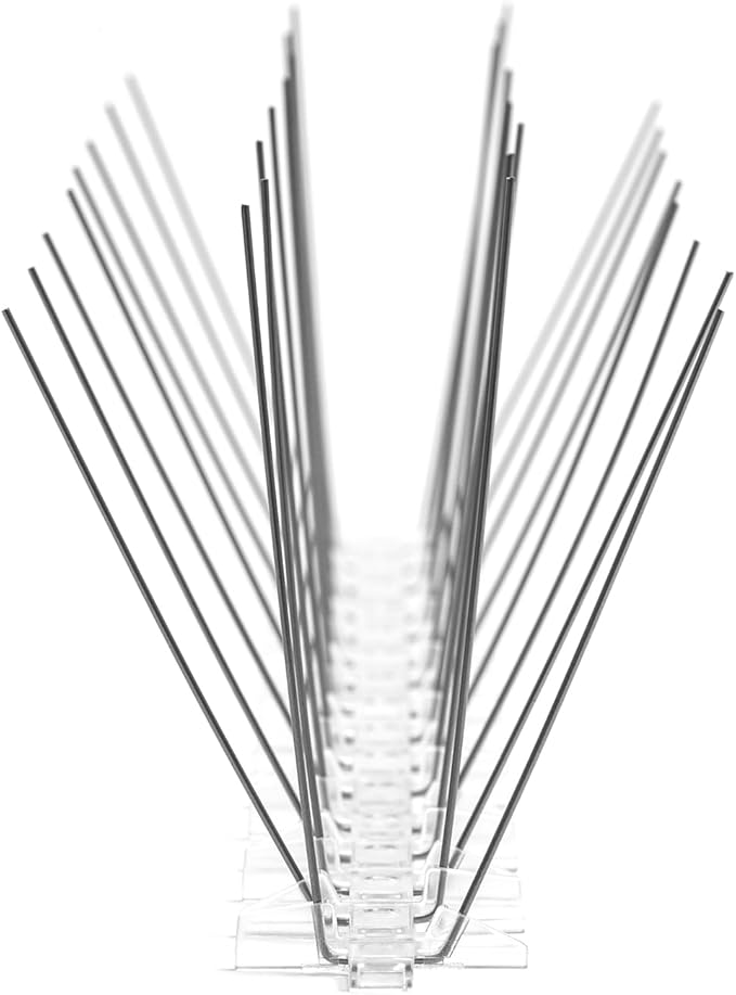Bird B Gone - Pre-Assembled EnviroSpike Stainless Steel Anti Bird Spikes (10') - UV-Stabilized Polycarbonate Base - Humane Deterrent - Stops Pigeons &amp Birds from Roosting On Rooftops Ledges Fenc