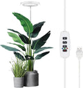 BRRNOO Indoor Plant Stand with Grow Light Plant Light for Indoor Plants with Stand with Grow with Lights for Plants Full (White 72 Beads)