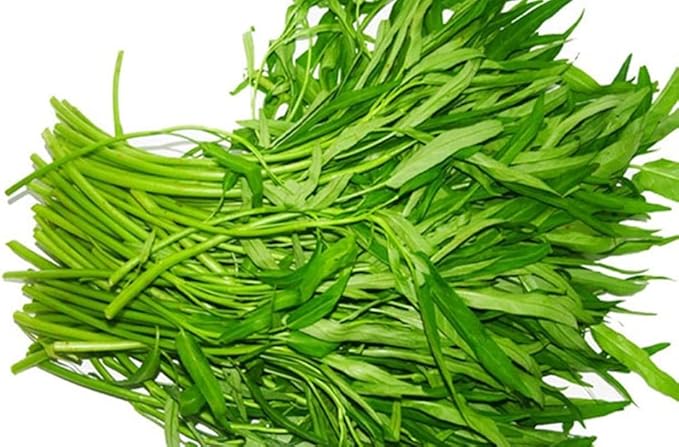 2000+ Seeds Kangkong Seeds - Rau Muong Ong Choy Brown - Chinese Spinach - Cong Xin CAI Seeds kangkung Seeds for Planting