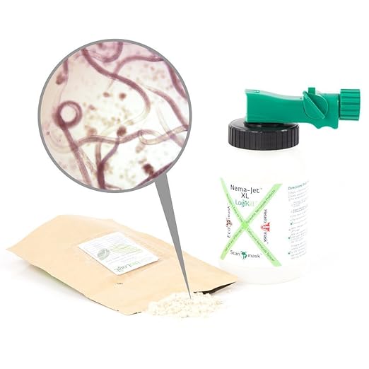 BioLogic's Scanmask Beneficial Nematodes Steinernema feltiae Sf Nematodes for Natural Insect Pest Control (100 Million with Applicator)