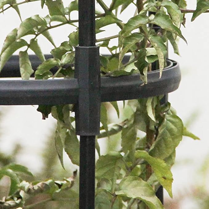 Garden Trellis Tomato Cages - 140CM170CM200CM TallGarden Obelisk Trellis Adjustable Metal TrellisPlant Support for Climbing Plants Flowers and Vegetables ( Size : 11.8/30cm Dia. x55/140cm H )