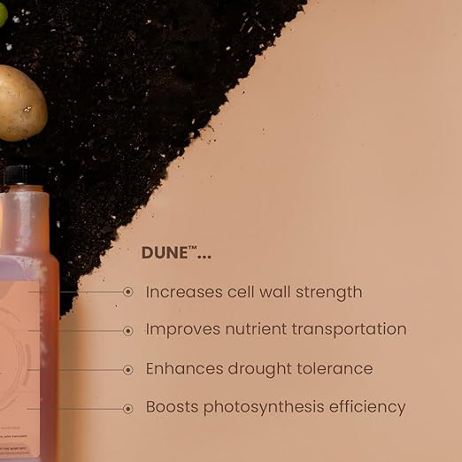 Dune - Bioavailable Silica for Plants – Strengthens Cell Walls Boosts Growth &amp Stress Resistance – Bigger Yields – Hydroponic &amp Soil Compatible - Medicinal Fruit Vegetable &amp Ornamental