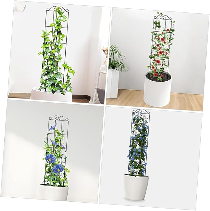 DOITOOL 4pcs Black Metal Climbing Plant Frame Trellis Garden Support for Potted Vines and Flowers 50x15cm Climbing Rack for Indoor and Outdoor Plant Growth