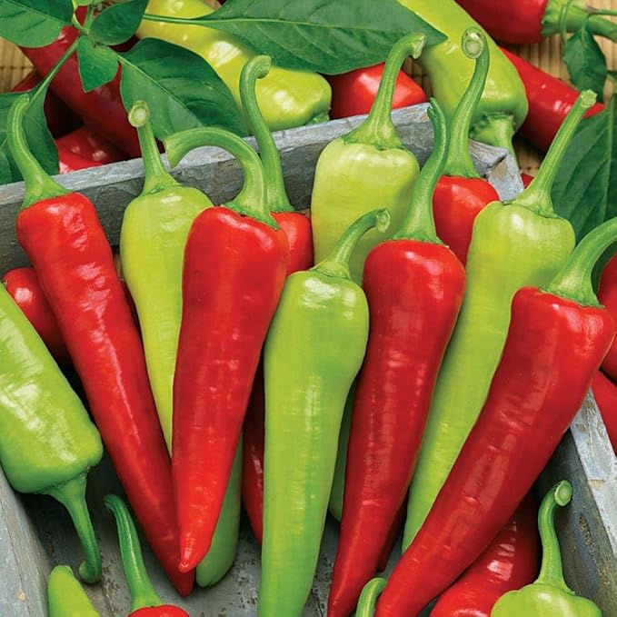 Park Seed Sweet Banana Pepper Seeds – Mild Tangy 6-Inch Peppers for Slicing Pickling &amp Fresh Eating High-Yielding Plants with Early Maturity for Garden or Containers – Pack of 1000