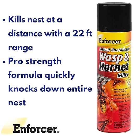 Enforcer Instant Knockdown Wasp and Hornet Killer Spray - 16oz (Case of 12) EWHIK16 - Kills with Residual Action as Wasps and Hornets Ruturn to Nest
