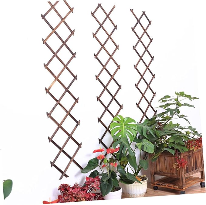 Expandable Garden Trellis Climbing Plant Support Willow Fence Plant Climb Support Carbonized Wood