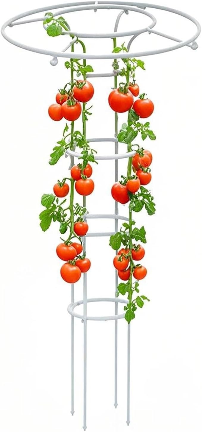 Outdoor Garden Trellis for Climbing Plants and Flowers Indoor Tower Frame Easy to Assemble Rustproof Garden Obelisk Trellis for Backyard Patio 110cm 145cm 180cm 215cm(White5.91ft)