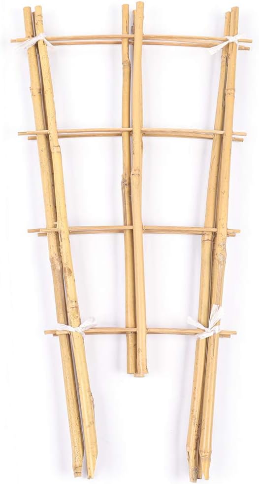 Trellis for Climbing Plants Indoor Outdoor Natural Bamboo Trellis 24 Inch 3 Pack Garden Trellis for Potted Plants Ivy Monstera Houseplants