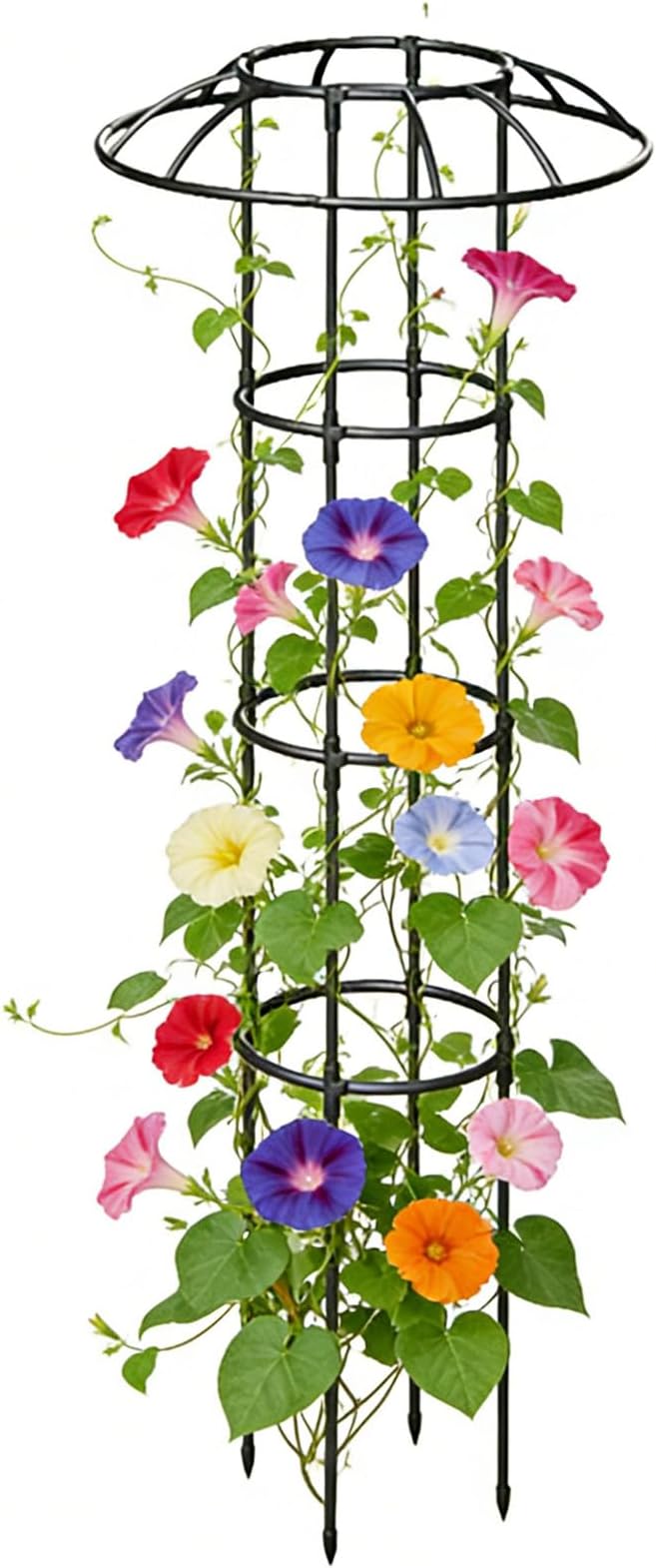 Garden Trellis for Climbing Plants - Stable Decorative Climbing Plants Support - Support Cage Umbrella Trellis - for Vine Rose Clematis Vegetable Dragon Fruit Cucumber Hydrangeas Jasmine