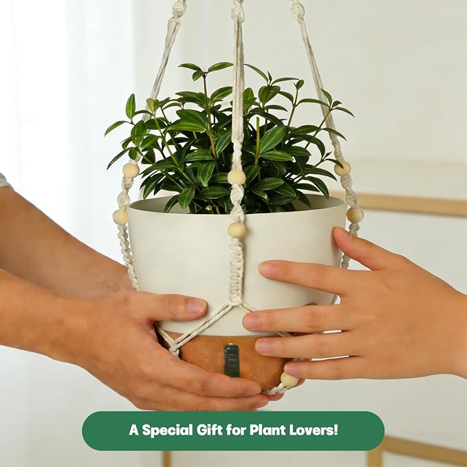Self-Watering Hanging Planters for Indoor Plants Set 2-Piece Includes Plant Hanging Pot Drainage-Hole Hanging Pot and Hanging Basket Rack (10 Inches White)