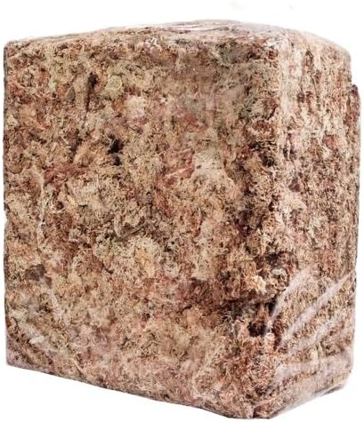 Peruvian Moss: Organic Sphagnum Moss for Orchids Succulents Indoor Plants &amp Reptile Substrate - 1 Kilo