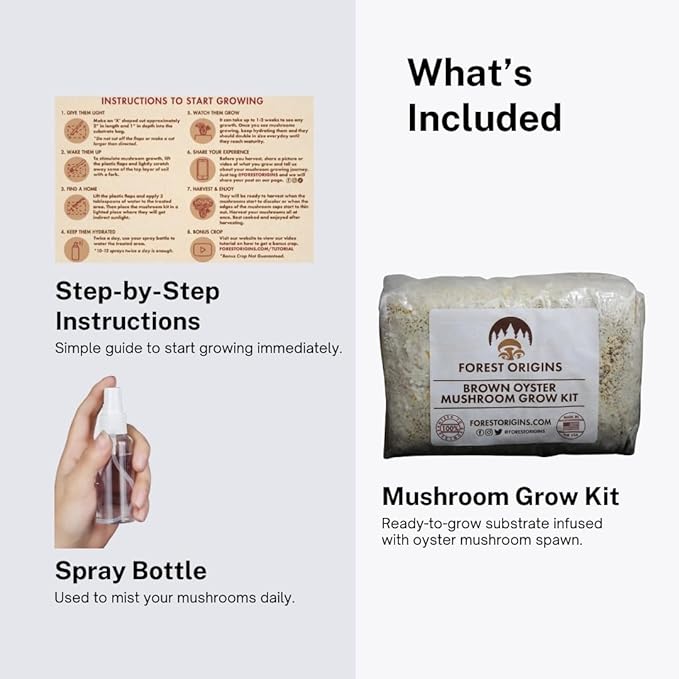 Forest Origins Brown Oyster Mushroom Grow Kit Harvest Gourmet Mushrooms in 10 Days Beginner Friendly Handmade in California USA Unique Gift