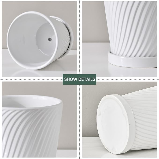Ton Sin Plant PotsWhite 6 Inch Flower Pots for PlantsCeramic Planter with Drainage HolesIndoor Planter Pots with SaucerOutdoor Garden Pots (White 4 Pack)