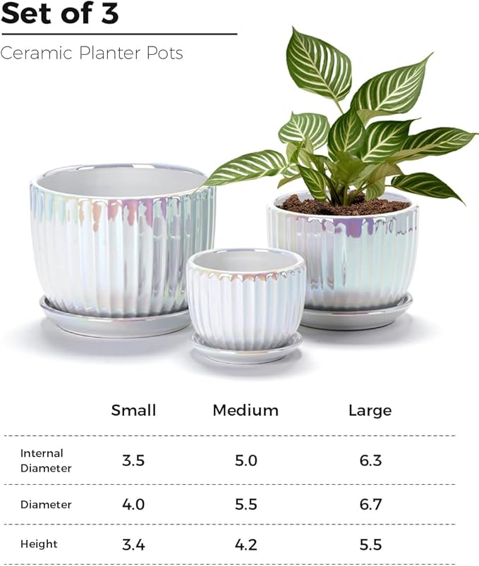 Ton Sin White Plant PotsPearl Gold Ceramic Flower Pots 4+5+6 Inch Indoor Succulent Pot with Drainage Hole - Decorative Orchid Pots and Herb Pots Set of 3