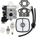 Carburetor for - Echo PB-250 PB-250LN ES-250 Handheld Blower