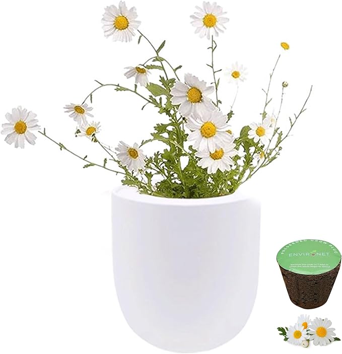 Hydroponic Growing Kit Self-Watering Garden Starter Kit with White Ceramic Pot and Seeds (Chamomile)
