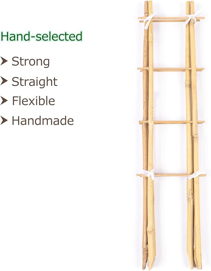 24 Inch Trellis for Potted Plants 3 Pack Bamboo Trellis Indoor Natural Garden Trellis for Climbing Plant Monstera Hoya Vegetables and Fruits
