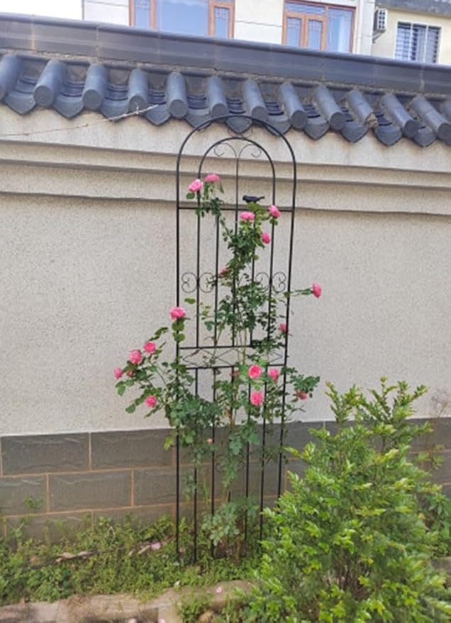 5.9/6.5/7.2ft Iron Garden Trellis Rustproof Sturdy Trellis for Patio Lawn Yard Backyard Wall Brackets(Color:WhiteSize:180cm(5.9ft))
