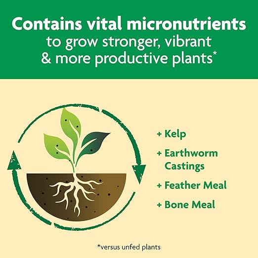 Miracle-Gro Shake 'N Feed All Purpose Plant Food - Outdoor and Indoor Plant Food for In-Ground and Containers Feeds for up to 3 Months 8 lbs. (Pack of 4)