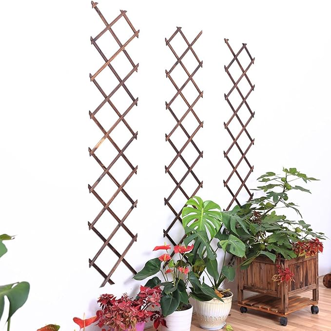 Angoily Expandable Carbonized Anticorrosive Wood Climbing Plant Support Trellis 44cm X 28cm Garden Vine Bracket Frame for Outdoor Patio and Balcony Plant Climbing
