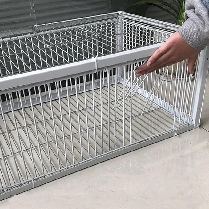 Big Foldable Galvanised Pigeon Dove Bird Trap Cage Feral Pigeon Humane Way with The one-Way Entrance Trapping Pigeons Doves in Cages 1 (40x30x26cm / 17x13x10inch 4 Entrances)