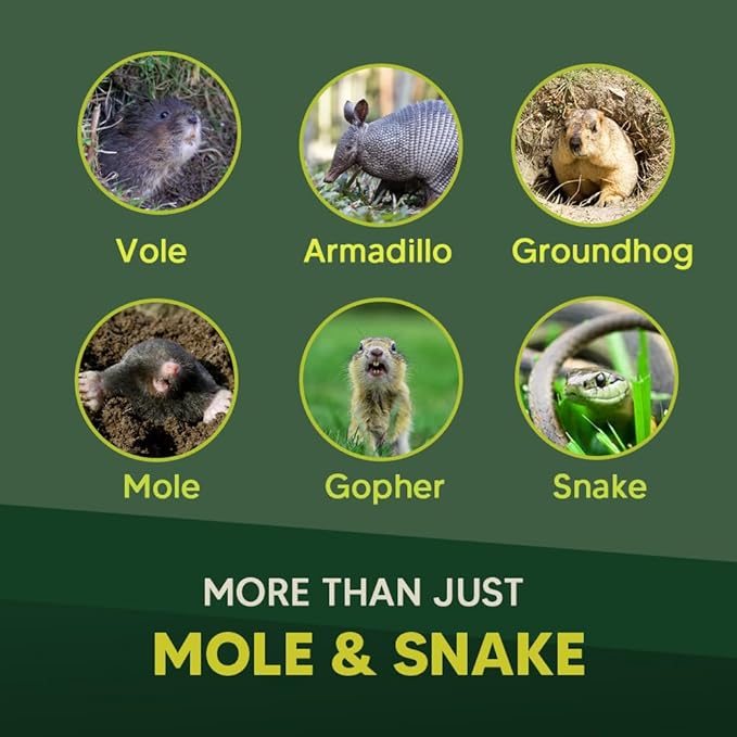 Mole &amp Snake Repellent Gopher Repellent Outdoor Vole &amp Groundhogs Repellant for Yard Armadillo &amp Snake Deterrent for Lawn Pet Safe Keep Snake Away for Garden/Garage Safe to Use-10P