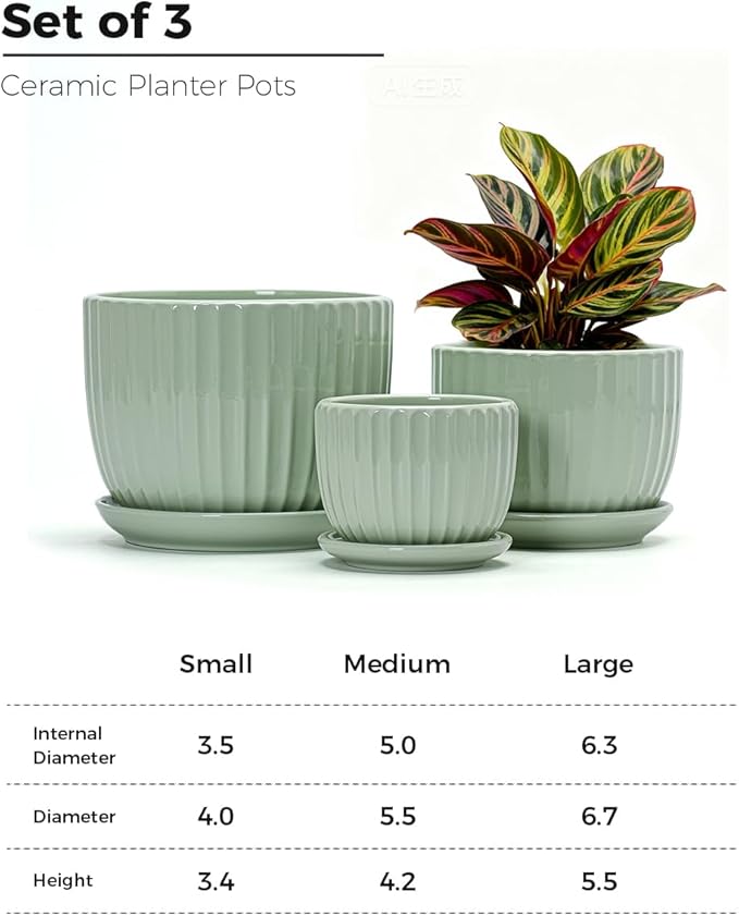 Ton Sin Flower Pots Light Green Ceramic Plant Pots Set of 3Small Glazed Succulent Pots with Drainage HoleCactus Planter with SaucerOutdoor Garden Pots (Green)