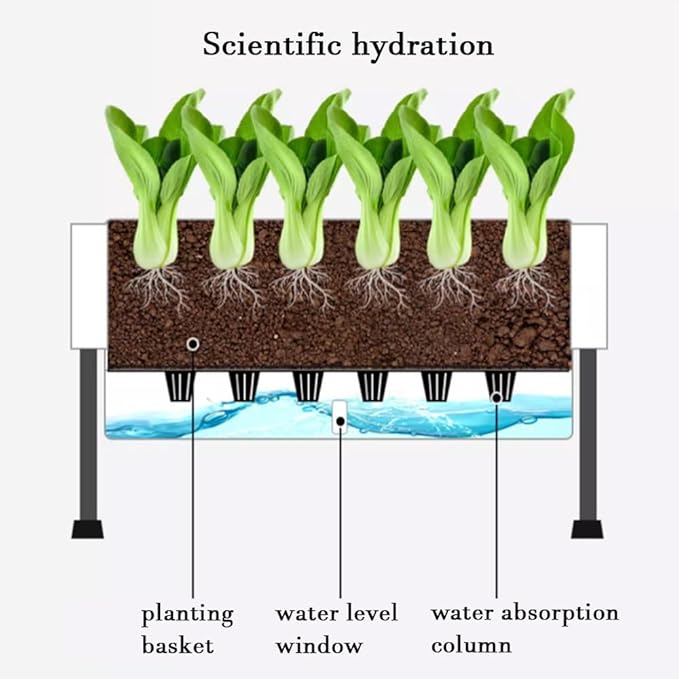 Garden Hydroponics Growing System Hydroponic Growing System Kits Equipped with Inner Pad Water and Soil Separation for Vegetable Fruit Herb(Gray)