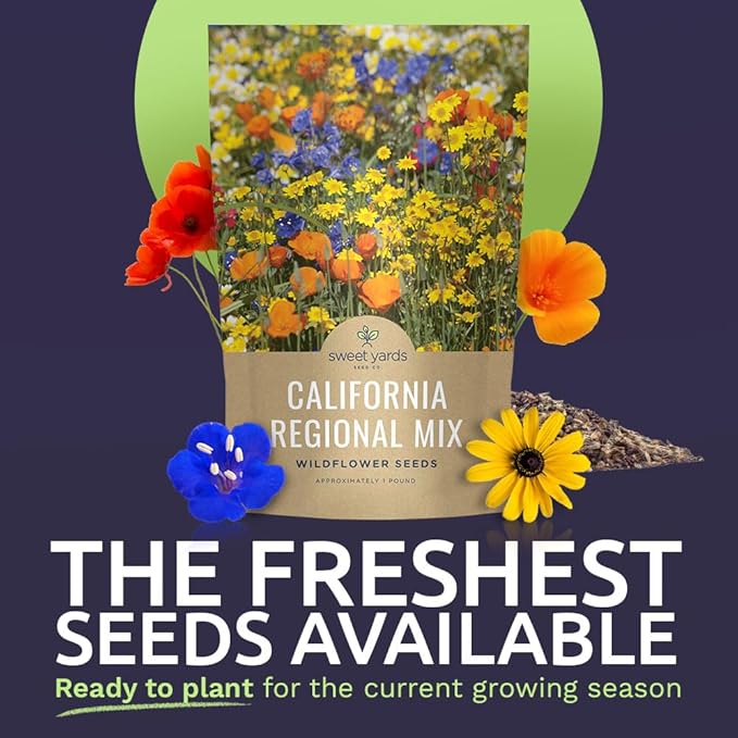 California Natives Mix - Bulk 1 Pound Bag - Over 120000 Native Seeds - Open Pollinated and Non GMO