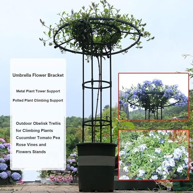 Outdoor Garden Obelisk Trellis for Climbing Plants Vine Jasmine Rose BushGarden Trellis for Climbing PlantsClimbing Rose Trellis(Size:120cm/47.2in)