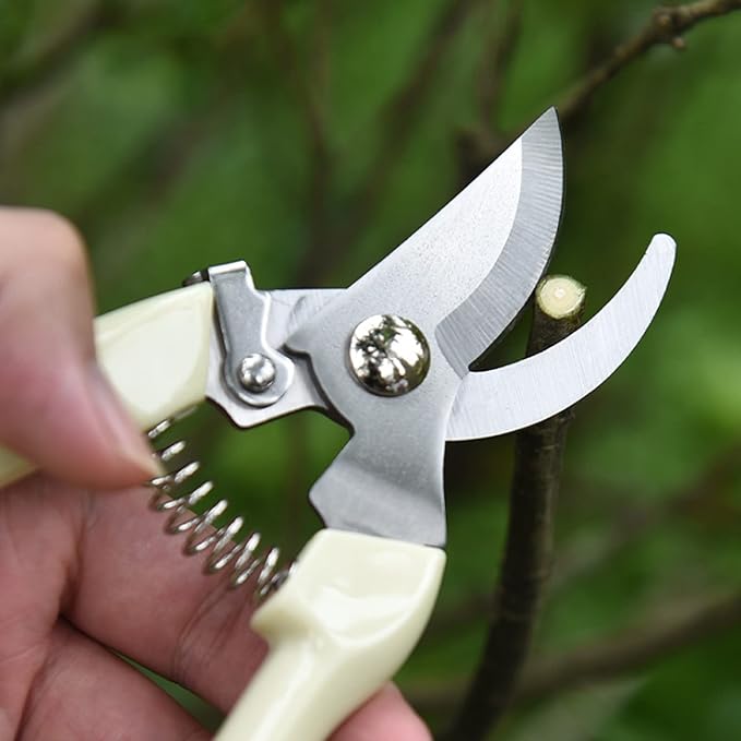 12 Pcs Garden Scissors for Plant Tip Pruning Shears for Cutting Flowers Trimming Plants Bonsai and Fruits Picking (Bypass Blade Pruner)
