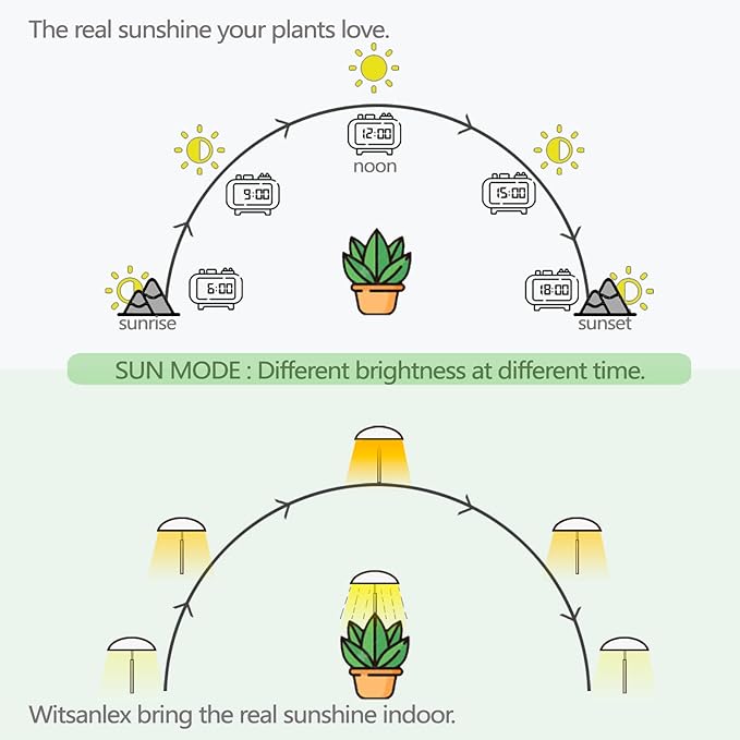 LED Grow Lights for Indoor Plants Smart USB Small Full Spectrum Plant Lights with Remote Height Adjustable Auto On/Off Timer Ideal for Home Decoration Black