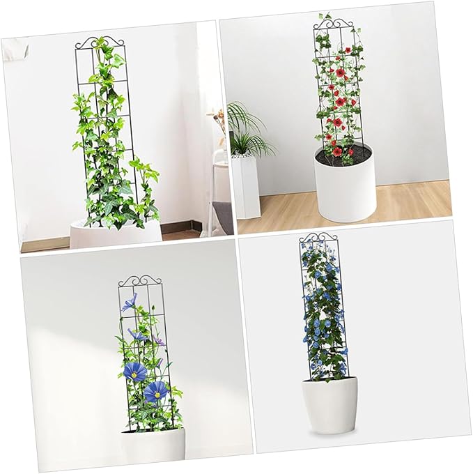 VILLCASE 4pcs Garden Plant Climbing Trellis Frame Metal Support for Vines Potted Plants Indoor Outdoor Gardening 50x15cm Black Climbing Stem Holder