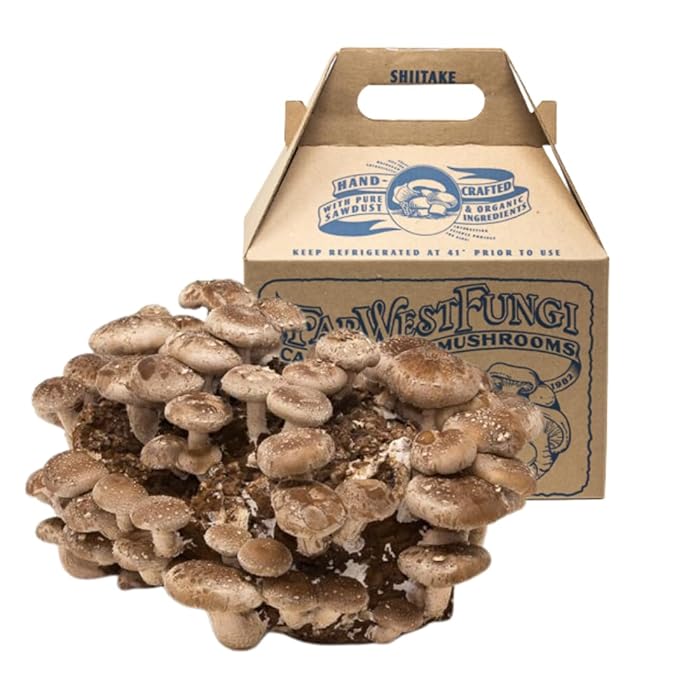 Far West Fungi Shiitake Mushroom Mini-Farm Grow Kit 5lbs Non-GMO Easy to Use Grow Your Mushrooms at Home Produced by Real Farmers in California.