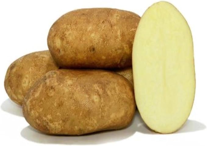 Goldrush Russet Potato Seed for Planting – Versatile &amp High Yielding Perfect for Home Gardens and Farms | Grow Your Own Vegetables Easy to Grow (50 Pack)