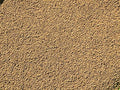 Japanese Triple Red Line Heat Treated Fired Akadama for Cactus &amp Succulent Bonsai Tree Soil Mix - 14 Liter (Fine Grain/Bag)