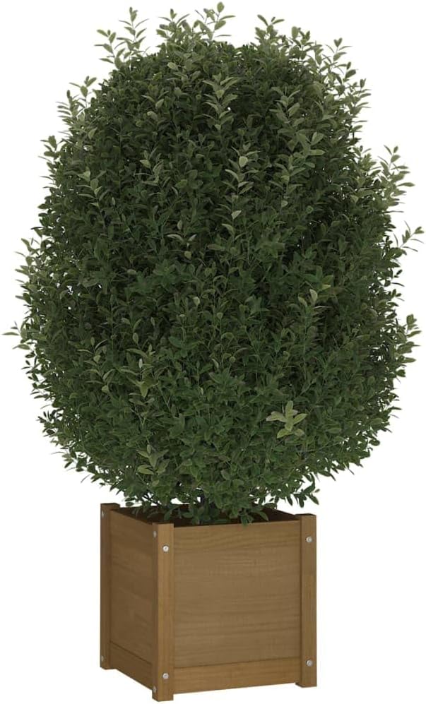 Honey Brown Solid Pinewood Planter Set of 2 Square 15.7 inch Outdoor Garden Planters for Patio Balcony Deck