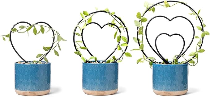 Plant Trellis Indoor - Metal Vine Support Decoration | Plant Trellis Outdoor - for Family Beginner Home Gardening Pairing Indoor House Wedding Vegetable