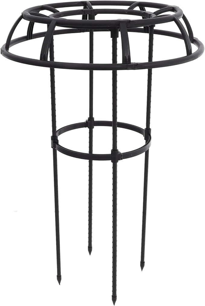 Metal Plant Trellis Climbing Plants Support Rack for Outdoor Garden with Detachable Sections Iron Vine Frame for Flower