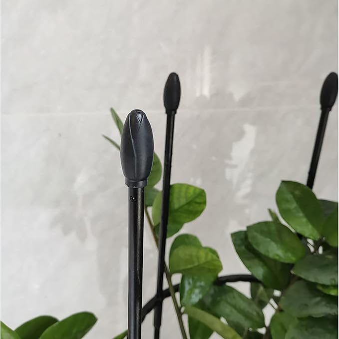 Garden Trellis Shaped Plant SupportTomato Cages for Garden Trellis for Potted Plants Climbing Plants Outdoor Vine Pots Flower Vegetable with Plant Stakes (Size : 160CM)