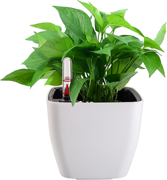 yarlung 6 Pack Self Watering Planter with Water Level Indicator 5 Inch Plastic Plant Flower Pots Nested Container for Indoor Plants Herbs Aloe Outdoor Gardening