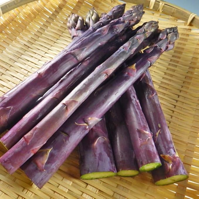 20 Purple Asparagus Roots - Bare Root Asparagus Crowns for Planting Perennial Vegetable Plants for Outdoor Garden