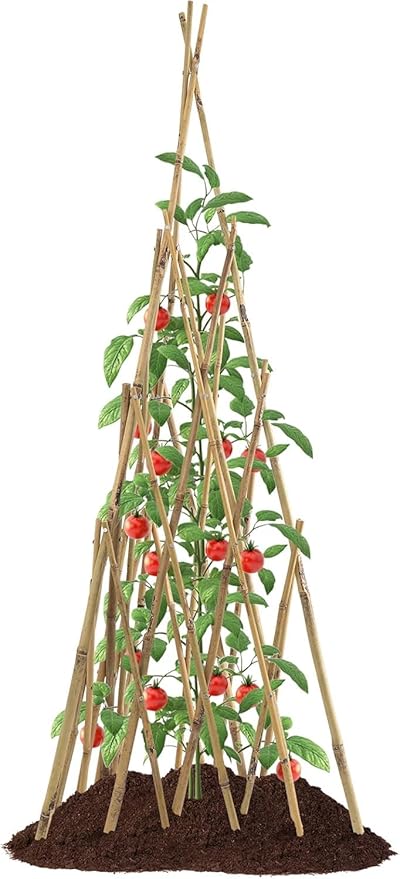 Garden Bamboo Obelisk Plant Support for Climbing Plants Outdoor Adjustable Height 35 to 45 inches Tall Cucumber Trellis