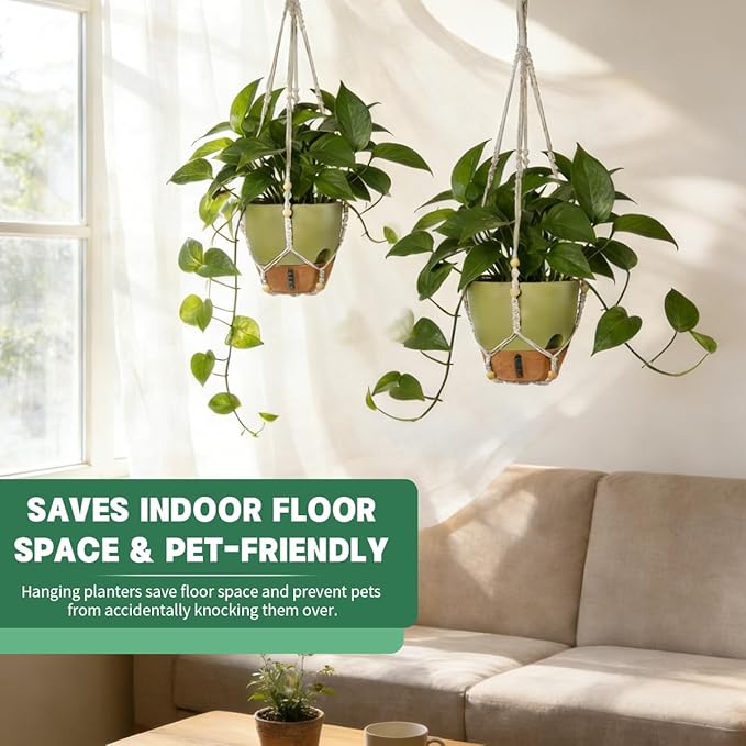 Self-Watering Hanging Planters for Indoor Plants Set 2-Piece Includes Plant Hanging Pot Drainage-Hole Hanging Pot and Hanging Basket Rack (10 Inches Green)